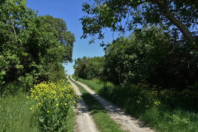 ein schöner, abwechslungsreicher Weg bei uns daheim in der Fränkischen Schweiz ...  | Foto: Dr. Manfred Schildknecht 