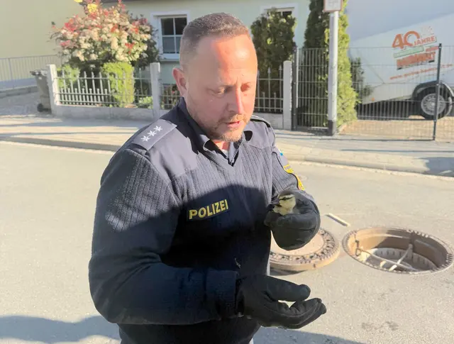 Foto: Polizeiinspektion Forchheim