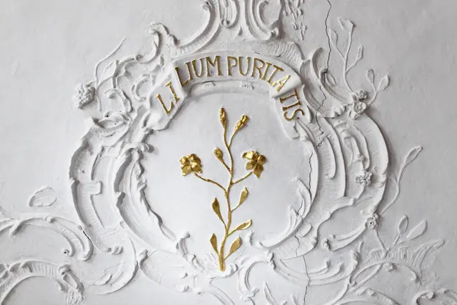 Die „Lilie der Reinheit” in einem Deckenrelief im Prälatenbau. Das historische Baudenkmal bekommt durch die Nutzung als Chorakademie wieder eine Zukunftsperspektive. | Foto: Uwe Rahner