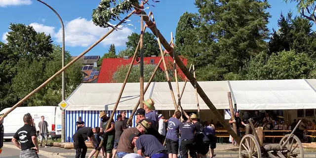 Bald steht er wieder, der Pettensiedeler Kirchweihbaum. | Foto: Uwe Rahner