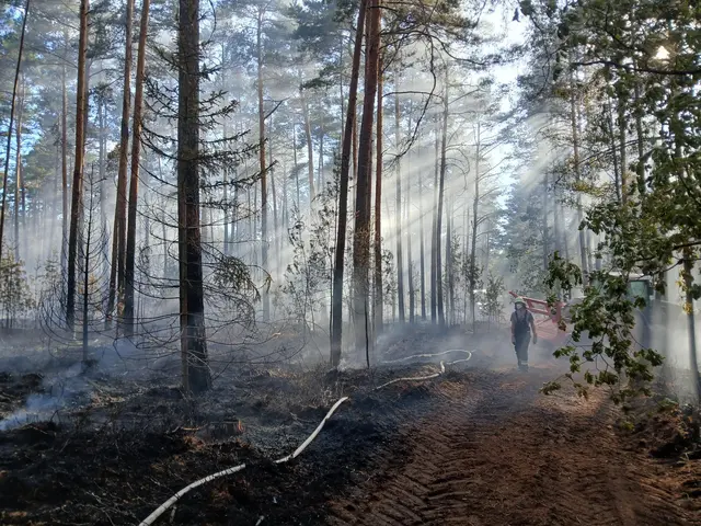 Ein Waldbrand am vorletzten Juniwochenende südlich von Nürnberg konnte schnell eingedämmt werden. Auch im gesamten Reichswald ist die Waldbrandgefahr aktuell extrem hoch. | Foto: Johannes Lang, BaySF