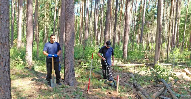 Spezialisten der Entmunitionsfirma durchleuchten mit Spezialsonden den Waldboden des ehemaligen Truppenübungsplatzes. | Foto: Sebastian Linstädt