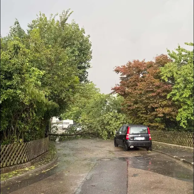 Foto: Feuerwehr Kalchreuth