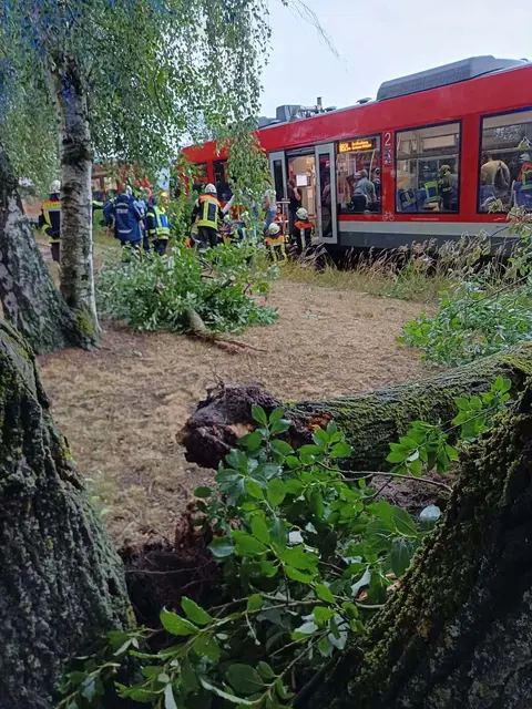 Wegen eines umgestürzten Baumes mussten die Fahrgäste der Gräfenbergbahn auf freier Strecke aussteigen – unterstützt von der Feuerwehr. | Foto: Feuerwehr Kalchreuth