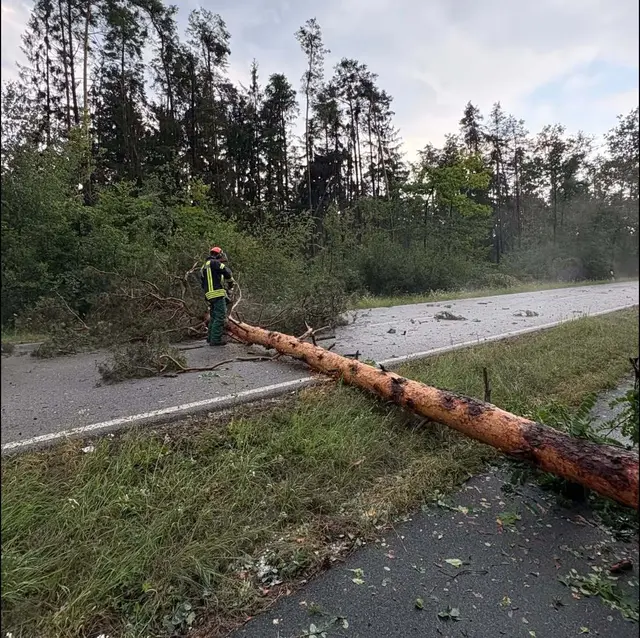 Umgestürzte Bäume blockierten wichtige Verkehrswege. | Foto: Feuerwehr Kalchreuth