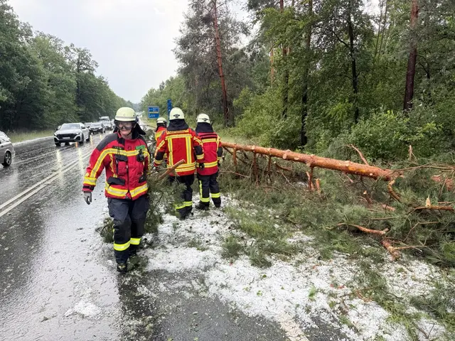 Bäume wurden vom Sturm umgerissen, während die Fahrbahnen - hier auf der B2 - zum Teil spiegelglatt waren, und das Mitte Juli. | Foto: Feuerwehr Heroldsberg