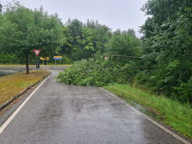 Ein durch den Wind umgefallener Baum. | Foto: Feuerwehr Heroldsberg