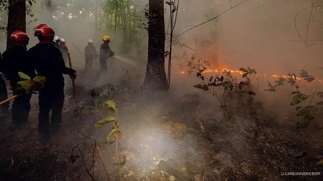 Frankreichs Feuerwehren kämpfen gegen verheerende Waldbrände. | Foto: U. Carbonnier / BSPP