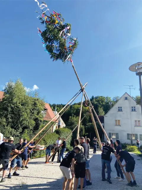 Am Samstag wird in Pommer mit viel Manneskraft der Kerwabaum aufgestellt.
 | Foto: Privat