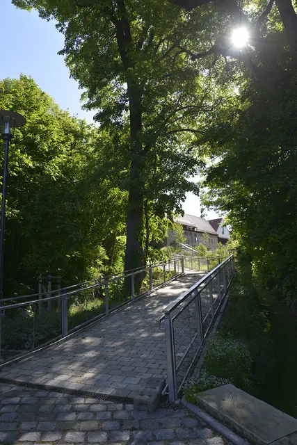 Foto: Dieter Kaletsch
