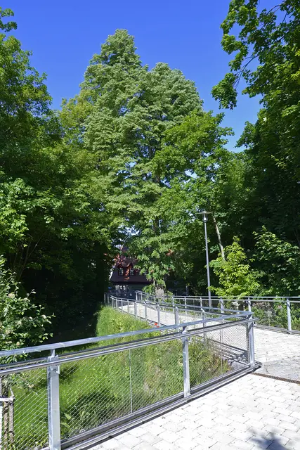 Foto: Dieter Kaletsch