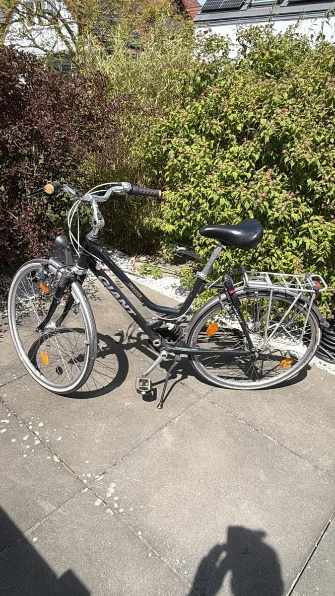 hundeanhänger für das fahrrad 2-in-1 Hundeanhänger – Zusammenklappbar – Bis zu 20 kg – Geeignet für  E-Bikes
