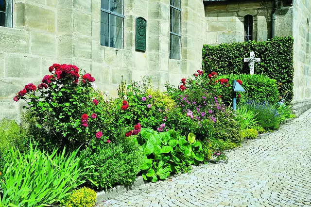 Besonders malerisch ist der Kirchhof von St. Matthäus, wenn die Rosen blühen.©Dieter Kaletsch
