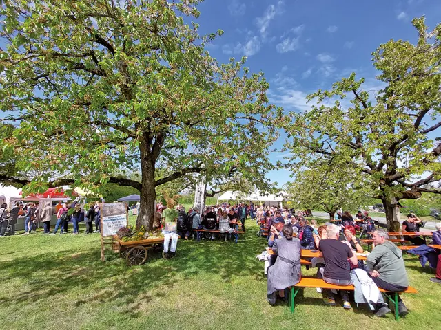 Auf solches Wetter hoffen die Freien Wähler Kalchreuth auch für ihr diesjähriges Kirschgartenfest. | Foto: Privat