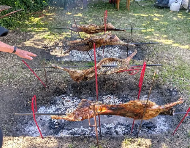 Foto: M. Pflaum