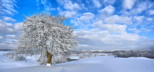 An einem frostigen Wintertag war Fotoclub-Mitglied Ursula Lindstedt rund um den idyllisch gelegenen Sklavensee bei Kalchreuth mit ihrer Kamera unterwegs und hat dieses bei hohen Temperaturen wunderbar erfrischende Motiv im Bild festgehalten.  | Foto: Ursula Lindstedt