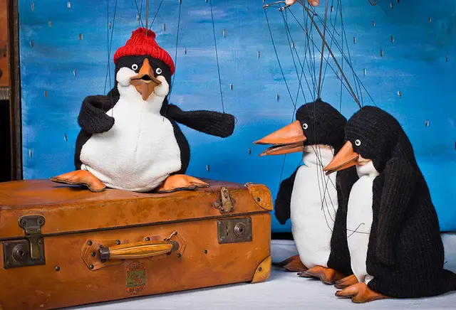 Für die Arche sind drei Pinguine eigentlich einer zu viel. Das wirft Fragen auf, die beantwortet werden müssen.
 | Foto: Figurentheater Tearticolo