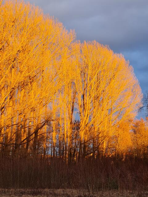 Abendspaziergang am Sonntag in Eckental-Forth