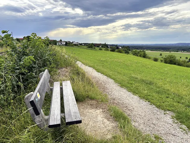 Diese Bank an der Bahnlinie zwischen Kalchreuth und Großgeschaidt lädt Judith Strobel immer zum Verweilen ein. Man hat von dort einen herrlichen Blick auf die Berge über Neunkirchen. | Foto: Judith Strobel