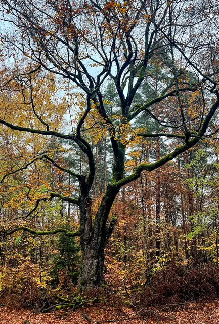 ... so "nackert" nur halb so imposant