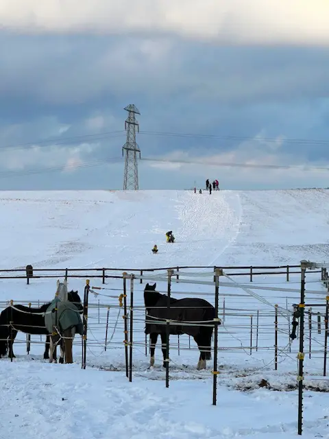 Ein Foto vom Eckenberg mit Schneeaktivitäten. Bei den milden Wintern fast schon eine Seltenheit – findet Beate Rosenzweig. | Foto: Beate Rosenzweig 