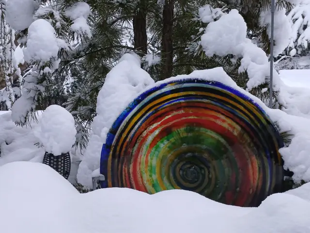 So schön, wie der viele Schnee dereit auch sein mag, freut sich das Auge über etwas Farbe im scheeweißen Umfeld.